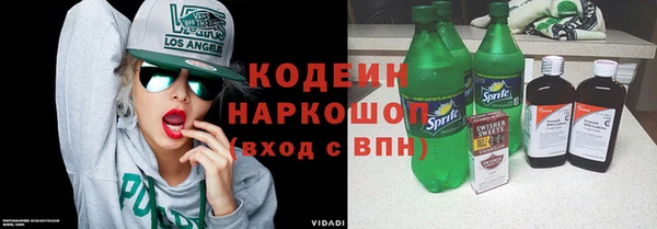 индика Арсеньев