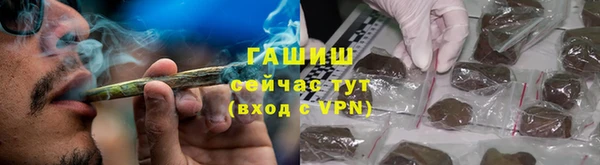 индика Арсеньев