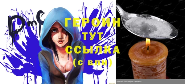индика Арсеньев