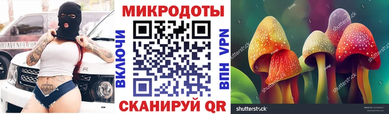 Псилоцибиновые грибы Psilocybine cubensis Новошахтинск
