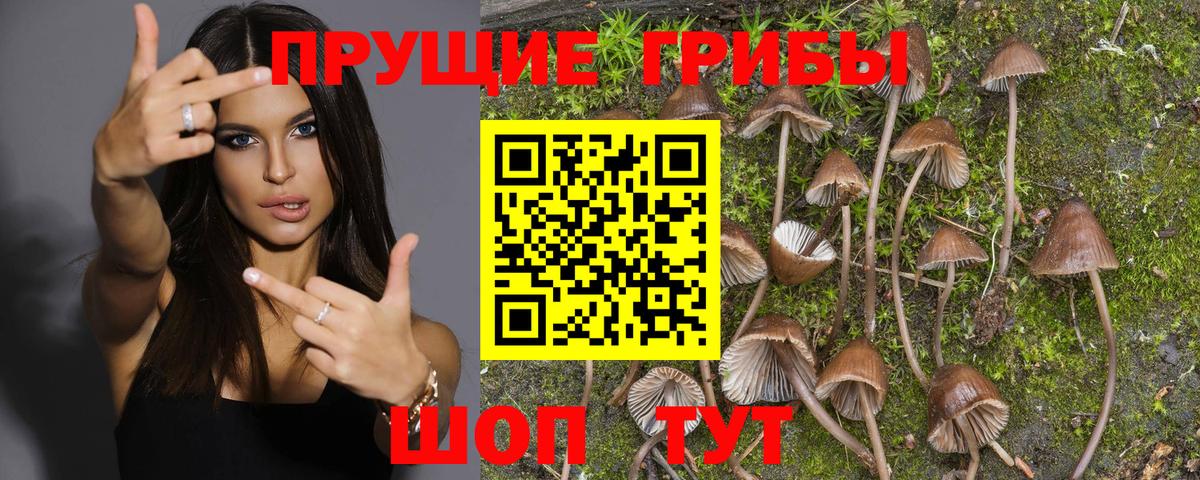 Галлюциногенные грибы ЛСД  Галлюциногенные грибы Psilocybe  Вход с VPN  даркнет сайт  Новошахтинск 
