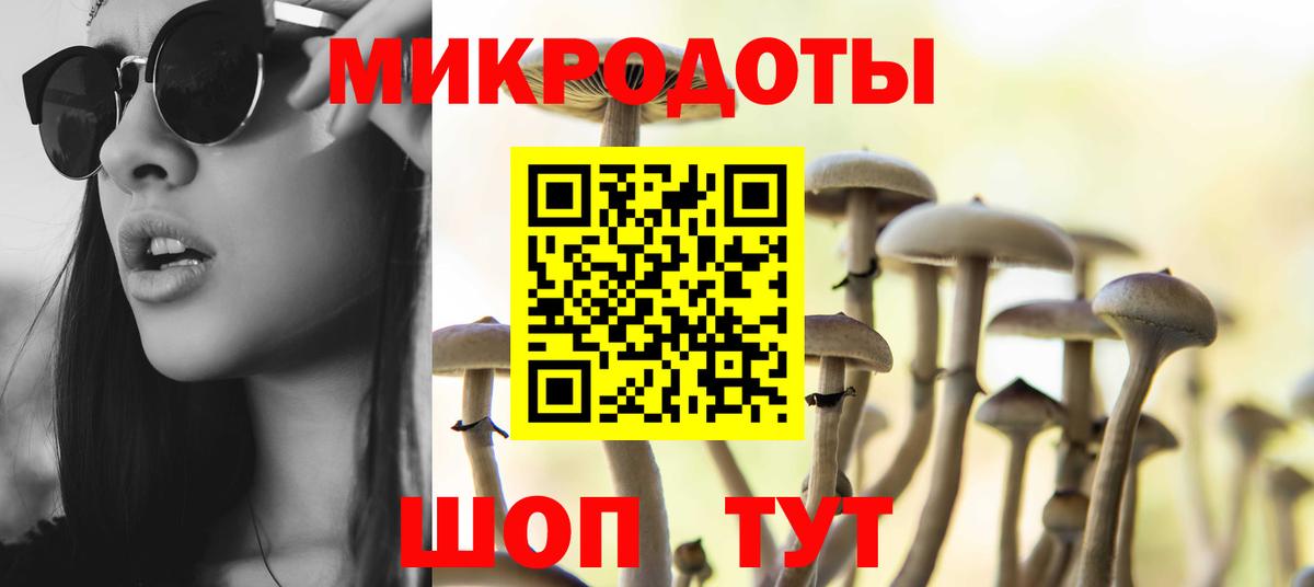 Псилоцибиновые грибы Psilocybine cubensis Новошахтинск