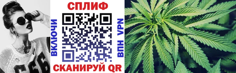 где найти наркотики  Новошахтинск  Шишки марихуана сатива 